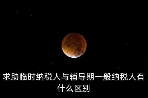 什么是臨時納稅人，臨時一般納稅人是什么意思