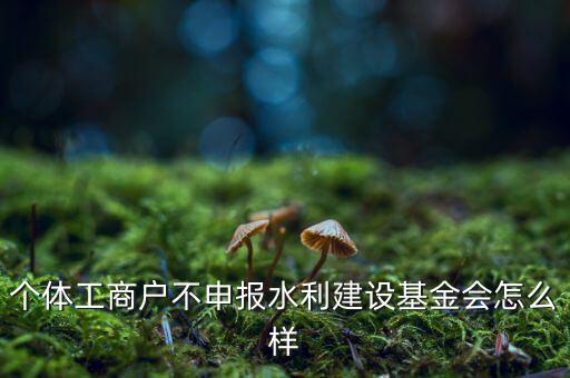 水利基金不報(bào)有什么后果，水利建設(shè)基金計(jì)稅當(dāng)月沒(méi)報(bào)有影響嗎