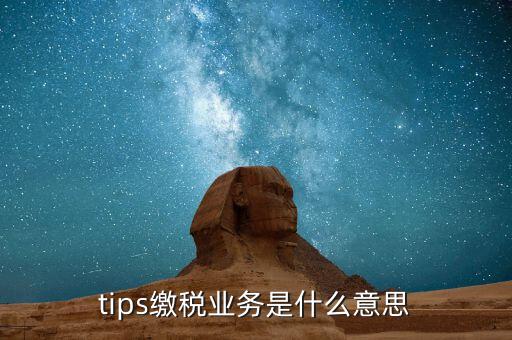 地稅tips繳款是什么意思，tips扣稅是什么意思