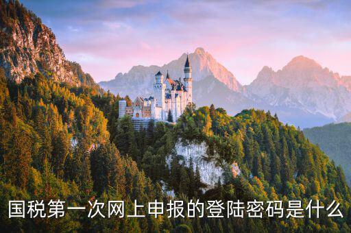 國稅網(wǎng)報(bào)口令是什么，國稅第一次網(wǎng)上申報(bào)的登陸密碼是什么