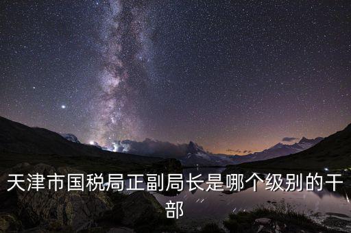 國稅局副局長是什么級別，天津市國稅局正副局長是哪個級別的干部