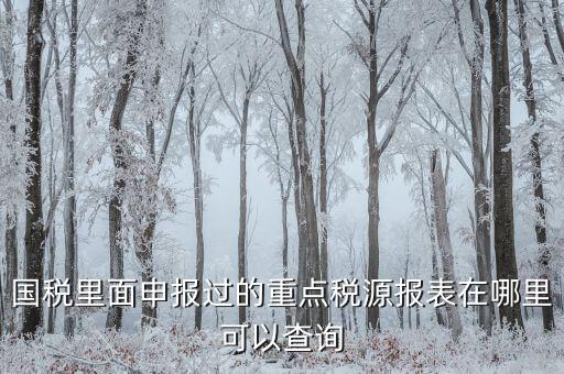 重點(diǎn)稅源預(yù)測網(wǎng)址是什么，國稅里面申報(bào)過的重點(diǎn)稅源報(bào)表在哪里可以查詢