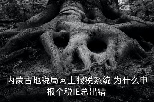 為什么內(nèi)蒙古國地稅網(wǎng)進(jìn)不去，windows7內(nèi)蒙古地稅報稅系統(tǒng)顯示無法顯示該網(wǎng)頁