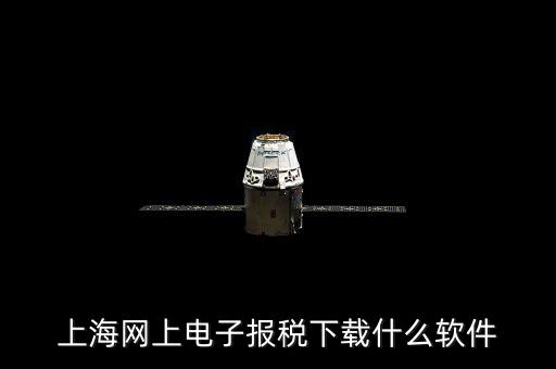 上海網上電子報稅下載什么軟件