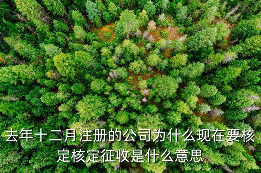 為什么核定征收收據(jù)，查賬征收為什么會轉(zhuǎn)為核定征收