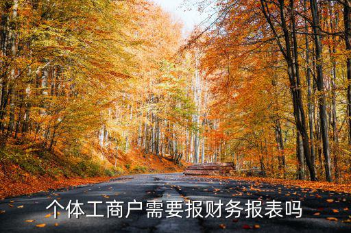 個(gè)體戶都需要申報(bào)什么表，個(gè)體工商戶需要報(bào)財(cái)務(wù)報(bào)表嗎