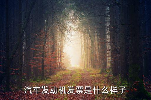 國稅出的機動車發(fā)票是什么樣的，汽車發(fā)動機發(fā)票是什么樣子