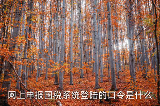 國稅網(wǎng)報口令是什么意思，網(wǎng)上申報國稅系統(tǒng)登陸的口令是什么