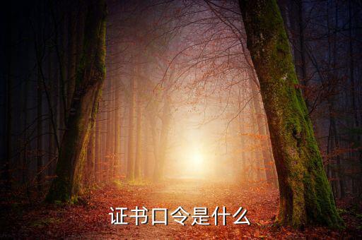 新稅盤證書口令是什么意思，金稅盤口令有什么用