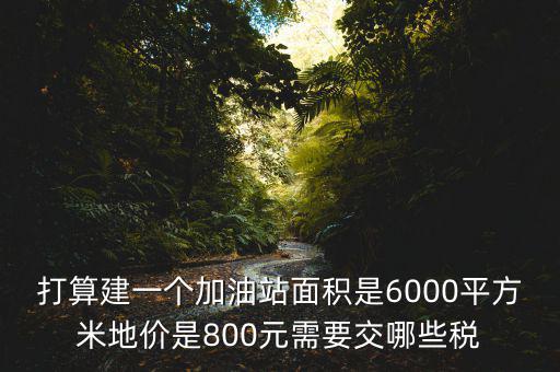加油站都繳什么稅，打算建一個(gè)加油站面積是6000平方米地價(jià)是800元需要交哪些稅
