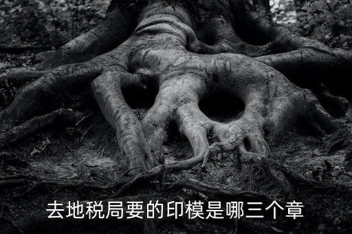 稅務(wù)局原始印模是什么東西，去地稅局要的印模是哪三個(gè)章
