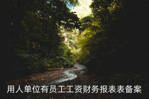 財(cái)務(wù)備案是什么意思，備案是什么意思