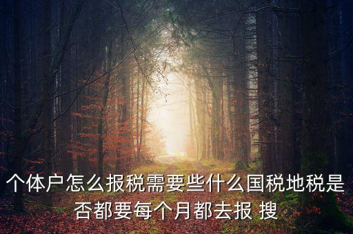 個(gè)體戶報(bào)稅都報(bào)什么，個(gè)體戶怎么報(bào)稅需要些什么國稅地稅是否都要每個(gè)月都去報(bào) 搜