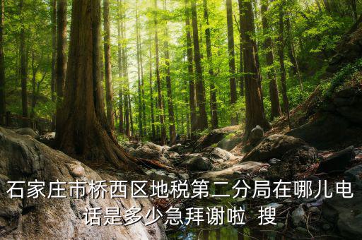 地稅二分局是做什么的，地稅科查局是做什么的