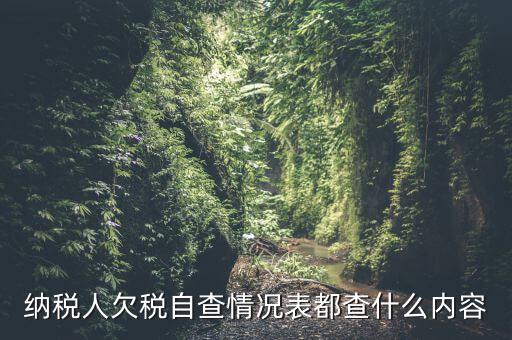 重點納稅人走訪情況表是什么，納稅人自查情況說明表里各項都填什么