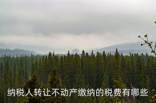 轉(zhuǎn)讓不動產(chǎn)交什么稅，納稅人轉(zhuǎn)讓不動產(chǎn)繳納的稅費(fèi)有哪些