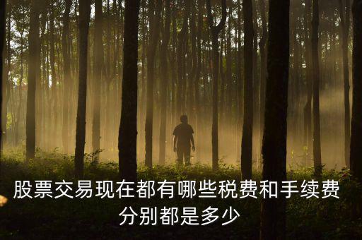 賣出股票要交什么稅，營(yíng)改增后企業(yè)買賣股票應(yīng)按照什么稅目繳納增值稅