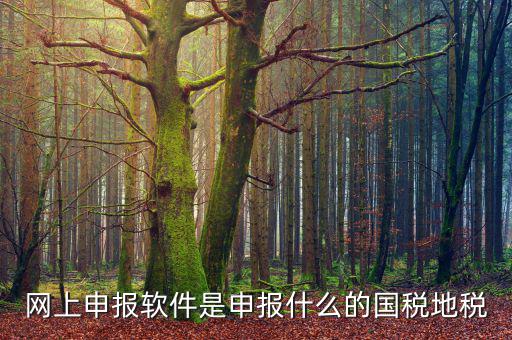 國稅微信申報什么意思，國稅網(wǎng)上申報怎么回事
