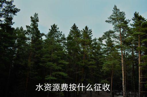 水資源稅實行什么征收，水資源費按什么征收
