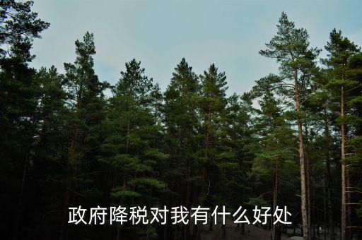 減稅有什么調(diào)節(jié)作用，政府降稅對(duì)我有什么好處