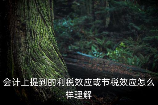 節(jié)稅效應(yīng)是節(jié)的什么稅，什么是節(jié)稅額