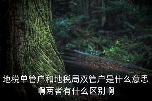 單管戶什么意思，地稅單管戶除了飲食行業(yè)外還有哪幾個(gè)行業(yè)