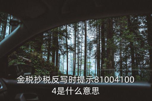 抄稅反寫是什么意思，金稅抄稅反寫時(shí)提示810041004是什么意思