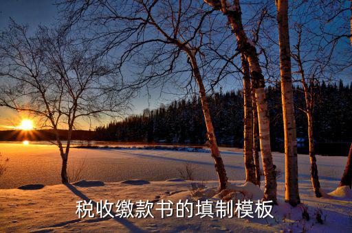 稅收繳款書字軌是什么，什么是文書字軌