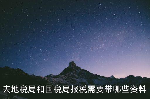 到國(guó)稅報(bào)稅需要什么，去地稅局和國(guó)稅局報(bào)稅需要帶哪些資料