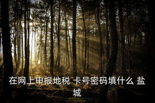 微信申報地稅的密碼是什么，地稅申報的用戶名和密碼是什么