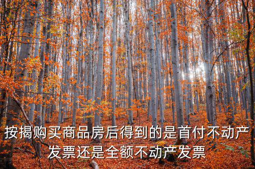 什么是全額不動產(chǎn)發(fā)票，想問一下購房全額發(fā)票到底是什么的侯才開是在交房的時侯還是辦