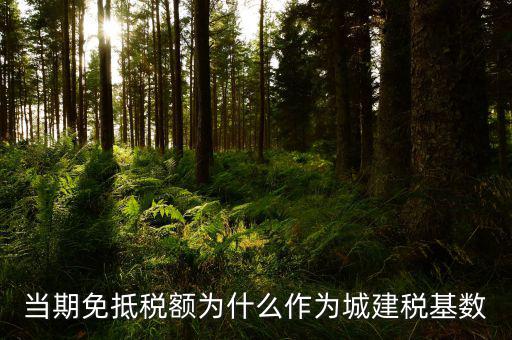 免抵稅額為什么要交城建稅，免抵稅額為什么要負(fù)擔(dān)城建稅和教育費(fèi)附加