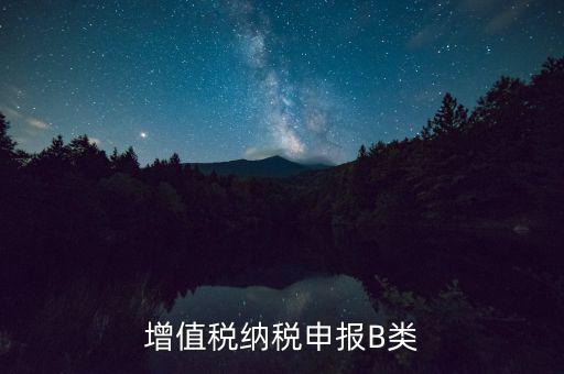B板發(fā)票什么申報，國稅通用機打b版發(fā)票當月打了發(fā)票要當月驗了票后才能次月報稅
