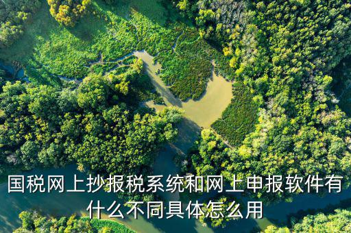 國(guó)稅申報(bào)軟件是什么意思，你用過(guò)網(wǎng)上申報(bào)軟件嗎是申報(bào)什么的我們公司有河北國(guó)稅納稅人端