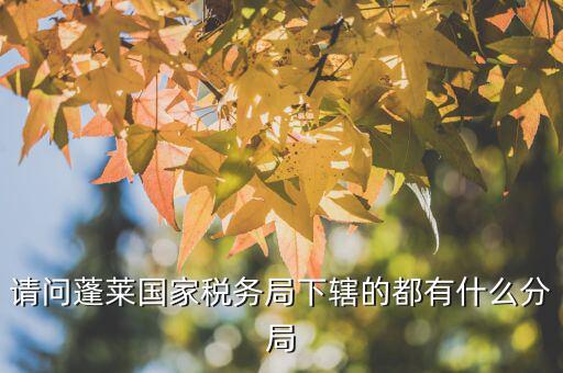 國(guó)稅局分局有什么，豐縣國(guó)稅局有幾個(gè)分局