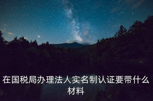 服務(wù)廳實(shí)名辦稅要帶什么，服務(wù)業(yè)辦稅務(wù)登記要些什么證件