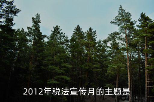 17年稅宣的主題是什么，2013年全國稅收宣傳月主題