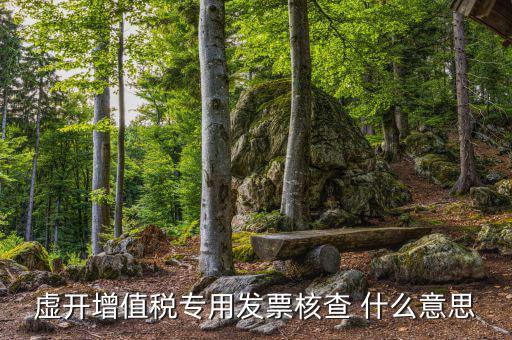 發(fā)票核定是什么意思，核定是什么意思名詞解釋一下