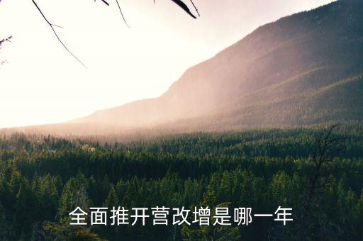 17年?duì)I改增改了什么時(shí)候，全面推開營(yíng)改增是哪一年