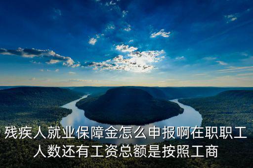 殘疾保證金什么申報(bào)，殘疾人就業(yè)保障金怎么申報(bào)啊在職職工人數(shù)還有工資總額是按照工商
