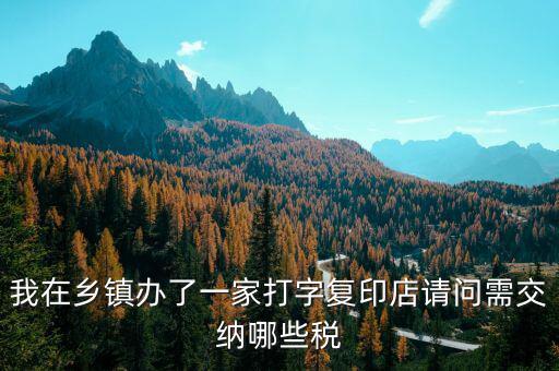 我在鄉(xiāng)鎮(zhèn)辦了一家打字復印店請問需交納哪些稅