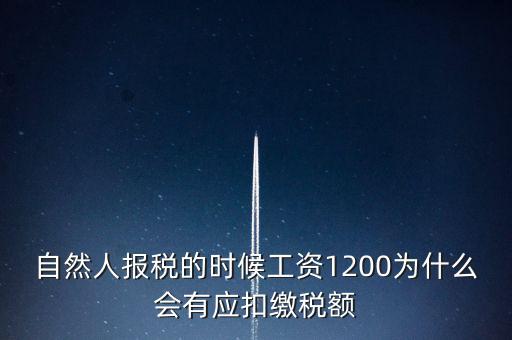 自然人報稅為什么，自然人辦稅服務(wù)平臺實名注冊的目的是什么