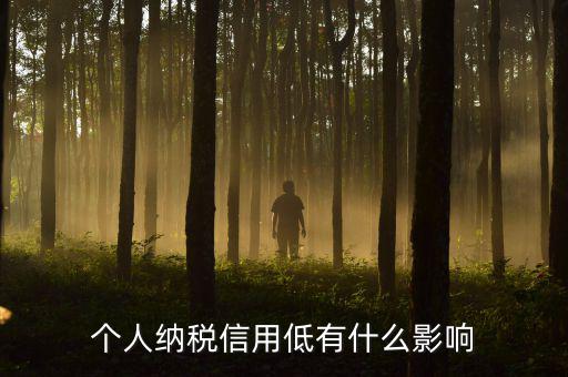納稅信用記錄是什么，金稅三期納稅信用管理是什么意思