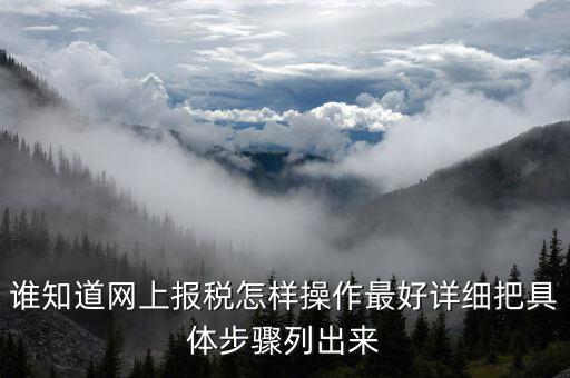 成品油消費(fèi)稅在什么系統(tǒng)申報(bào)，請(qǐng)教網(wǎng)上報(bào)稅步驟謝謝大家了