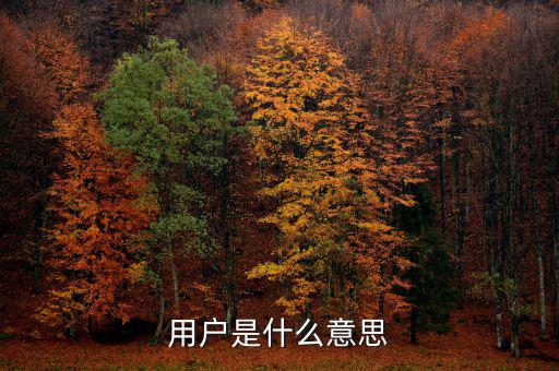 稅局用戶是什么意思，國(guó)稅局發(fā)票軟件里用戶代碼和密碼是什么