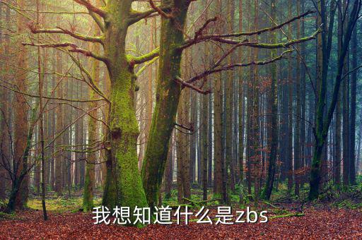 什么是稽查函，稽便函是什么意思
