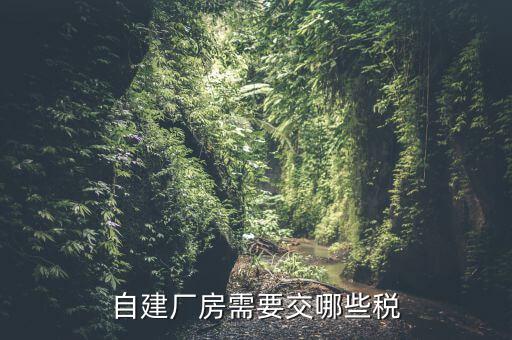 建廠房需要交什么稅，自建廠房需要交哪些稅