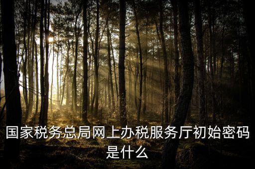 江蘇地稅登錄密碼是什么意思，江蘇地稅開票密碼是多少