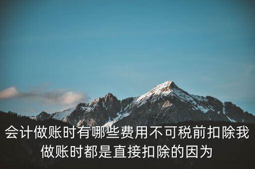 什么不可以稅前扣除嗎，納稅人哪些支出不能在企業(yè)所得稅前扣除