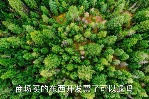發(fā)票什么情況可以退回，商場買的東西開發(fā)票了可以退嗎